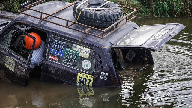 贏得了大批 贏得了大批
