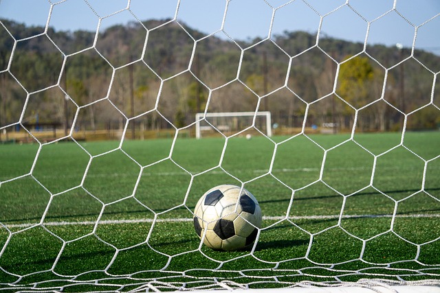 詹姆斯和安 詹姆斯和安