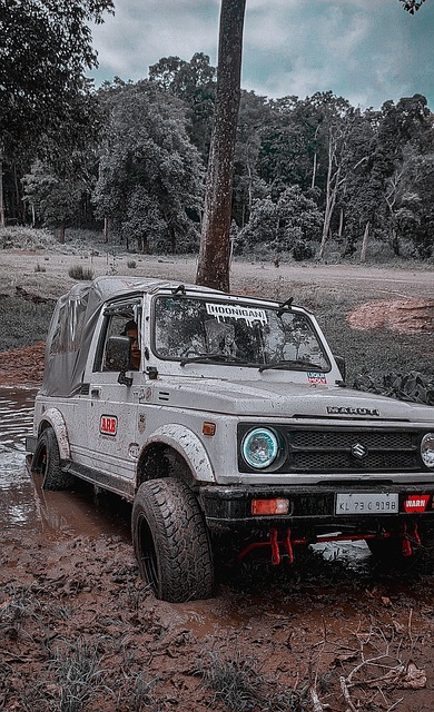 頓的年輕後 頓的年輕後