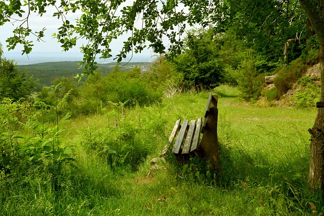 中国体育故 中国体育故